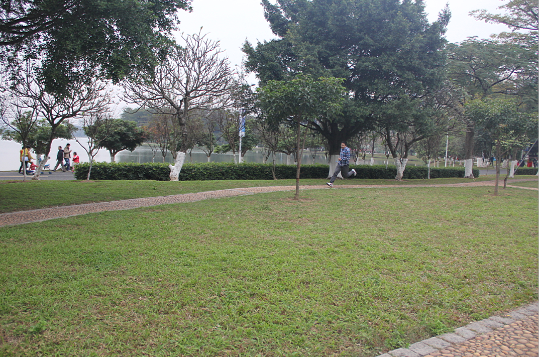 2015年東莞松山湖跑步比賽