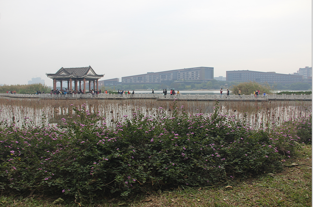 2015年東莞松山湖跑步比賽